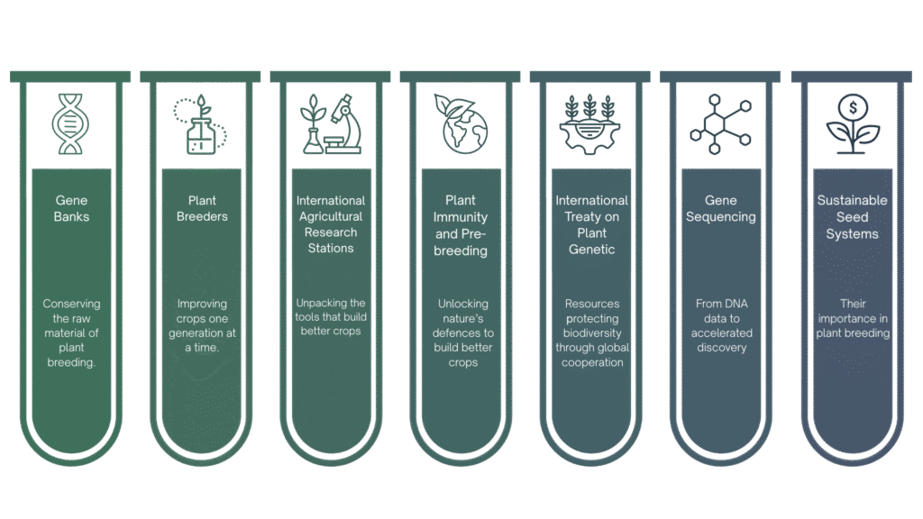 7 pillars