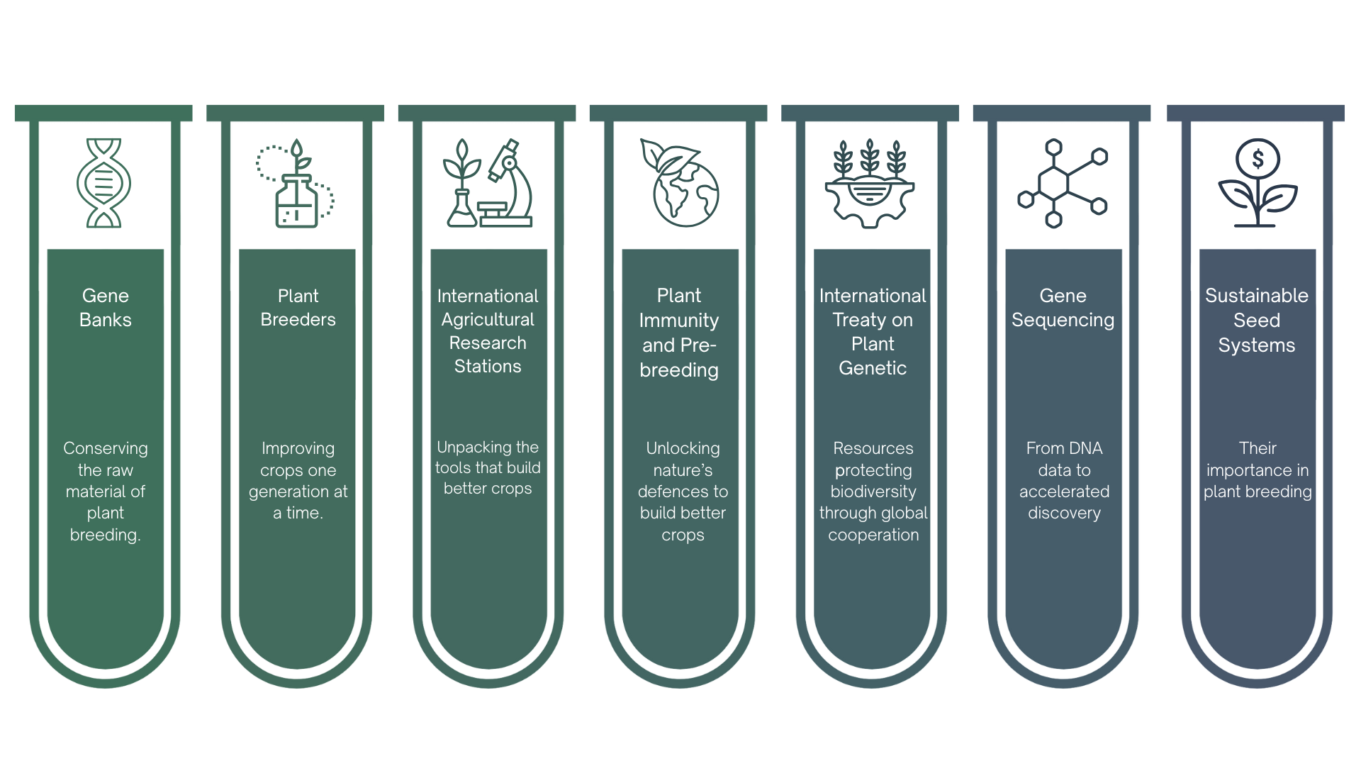 7 pillars